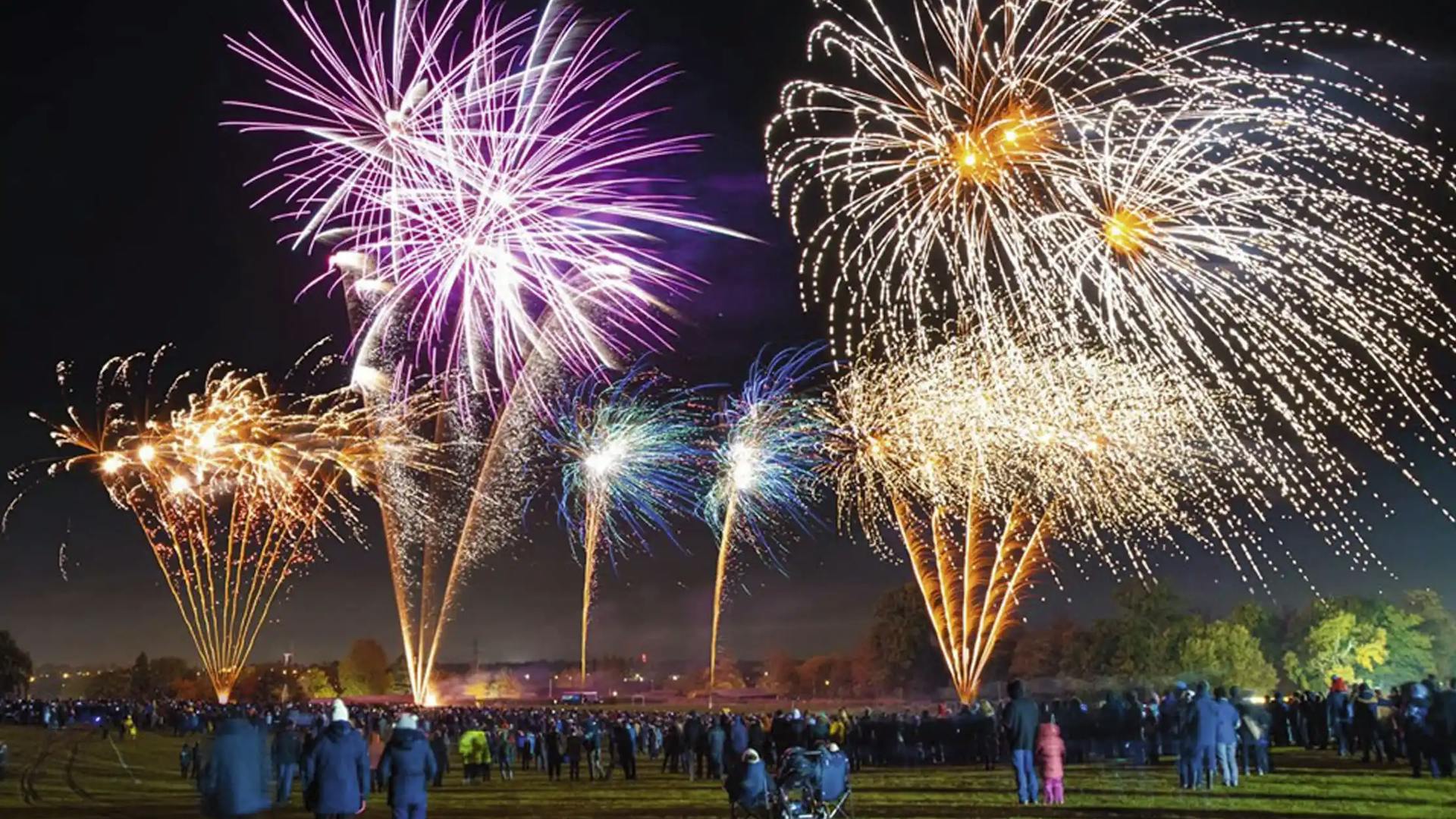 Guildford Lions Firework Fiesta 