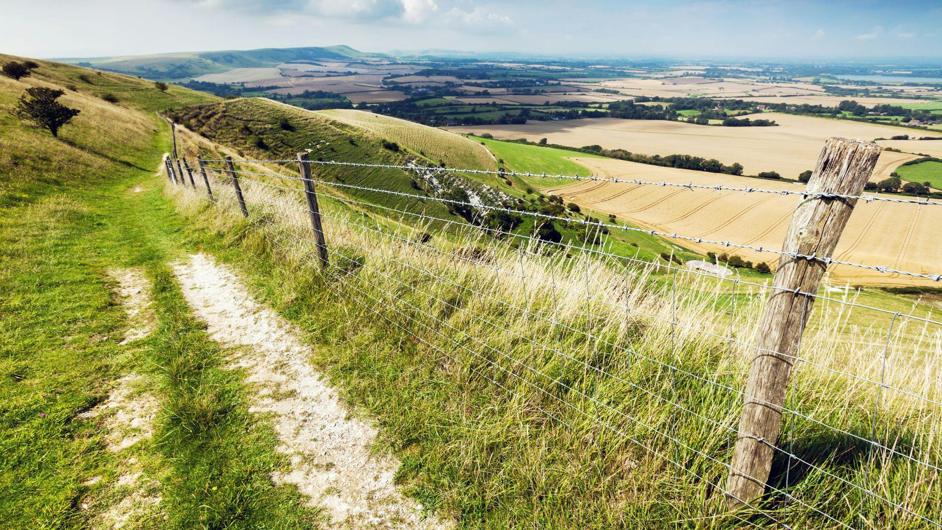 Rolling countryside in East Sussex
