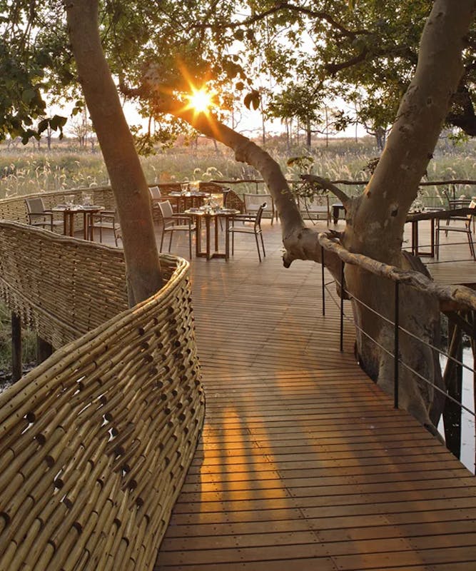 Visitors to the Okavango Delta, can explore 450,000 acres of pristine wilderness 